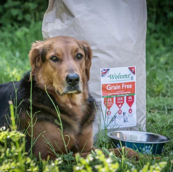 Grain free on sale for golden retriever