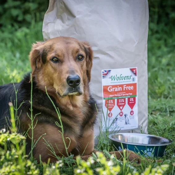 Adult Grain Free
