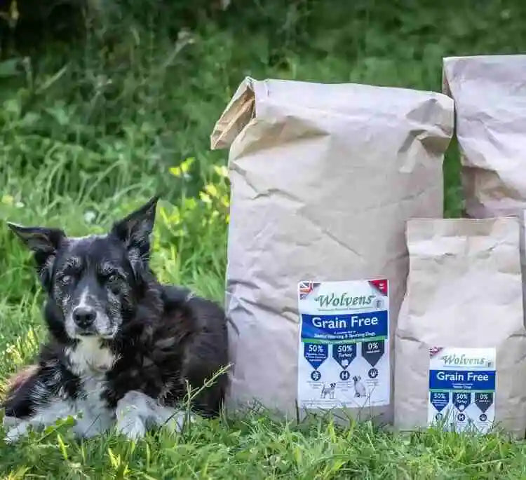 Best grain free dog sales food for senior dogs