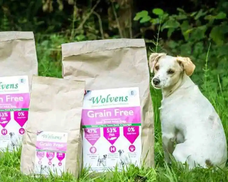 Best Dog Food For Small Dogs UK Small Breed Dog Food Wolvens Dog Food