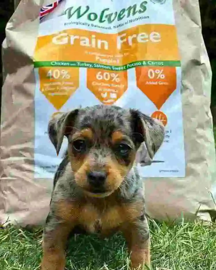 Puppy Grain Free